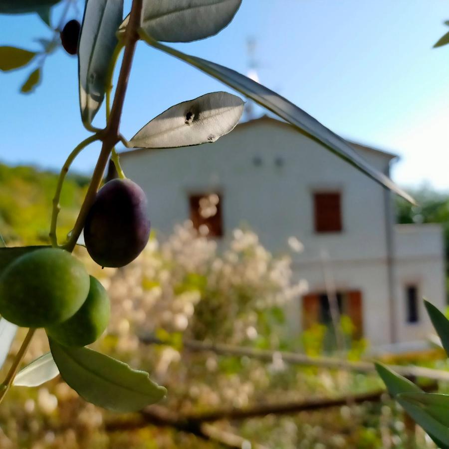 Ca'Rosei Apartment Monteciccardo Exterior photo